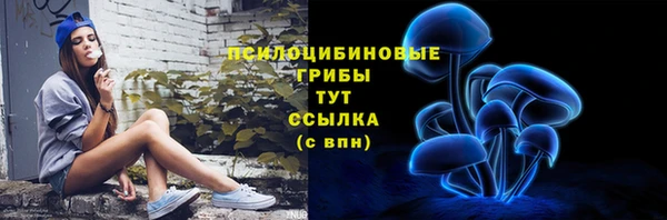 а пвп мука Гусь-Хрустальный