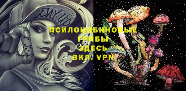 синтетический гашиш Горнозаводск