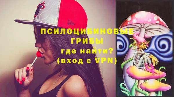 метадон Гусиноозёрск