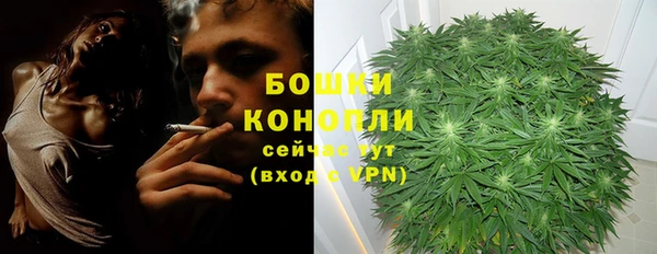 метадон Гусиноозёрск