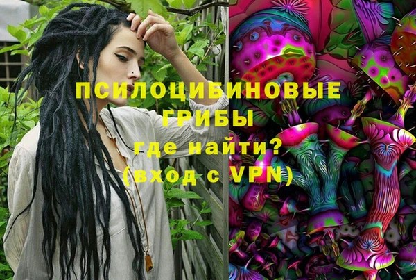 метадон Гусиноозёрск