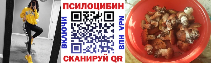 Купить где  Канск  Псилоцибиновые грибы Cubensis 